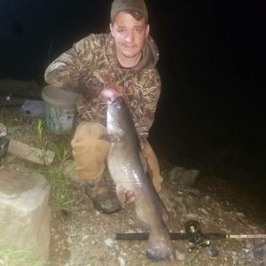 Meet your Posher, Jake